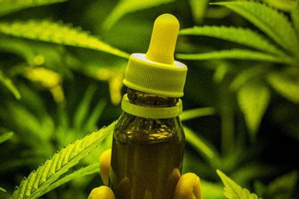 cannabis-medicinal
