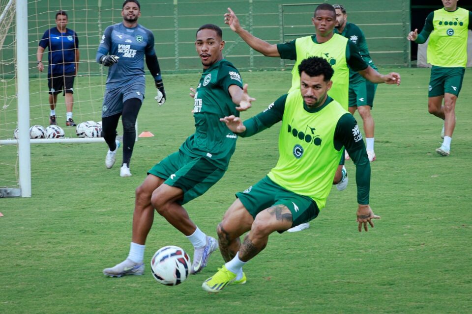 Willean Lepo deverá retornar a equipe titular do Goiás