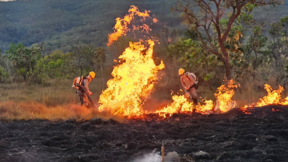 Estado anuncia operação contra incêndios no norte e nordeste goianos (Foto: Governo do Estado)
