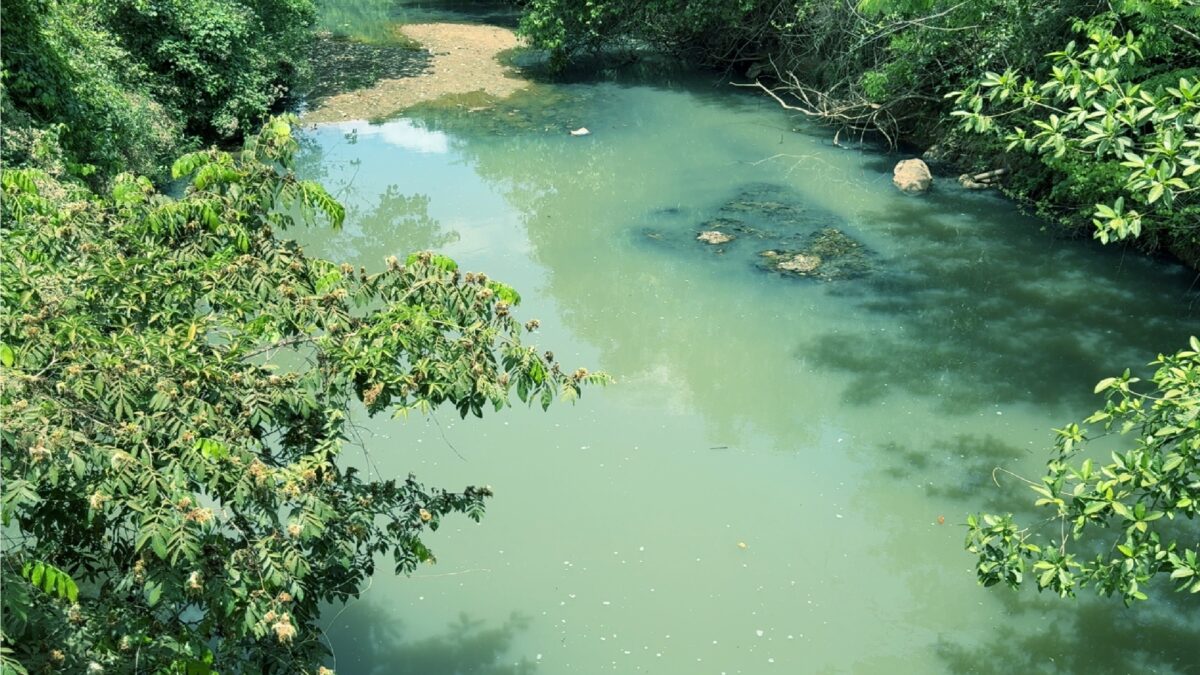 Imagem aérea mostra água turva do Córrego Sussuapara, em Bela Vista de Goiás