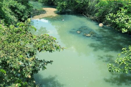 Imagem aérea mostra água turva do Córrego Sussuapara, em Bela Vista de Goiás