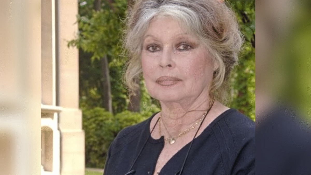 Brigitte Bardot é internada em estado grave aos 91 anos (Foto: Instagram)