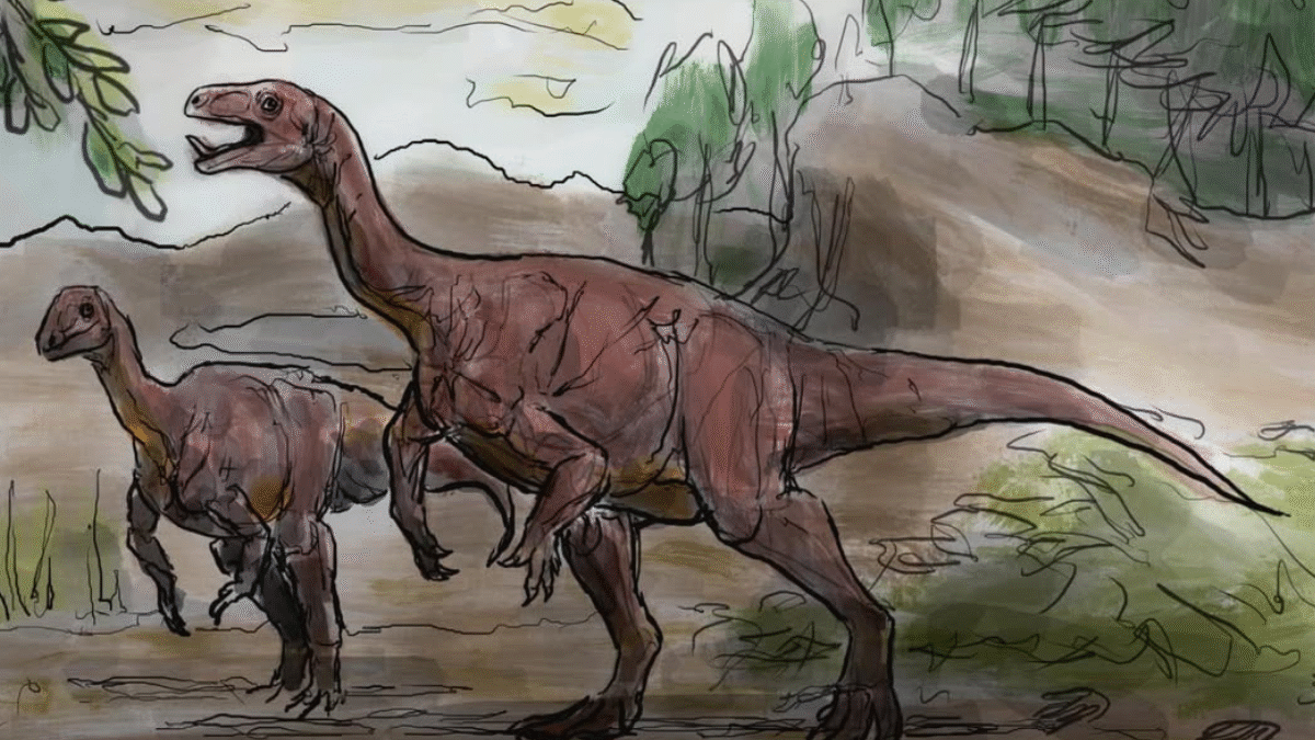 Esqueleto de nova espécie de dinossauro é descoberto na Argentina (Foto: redes sociais)