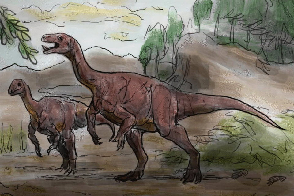 Esqueleto de nova espécie de dinossauro é descoberto na Argentina (Foto: redes sociais)