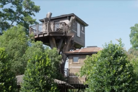 Bilionário gasta US$ 400 mil para construir 'mansão' na árvore; vídeo (Foto: Reprodução)