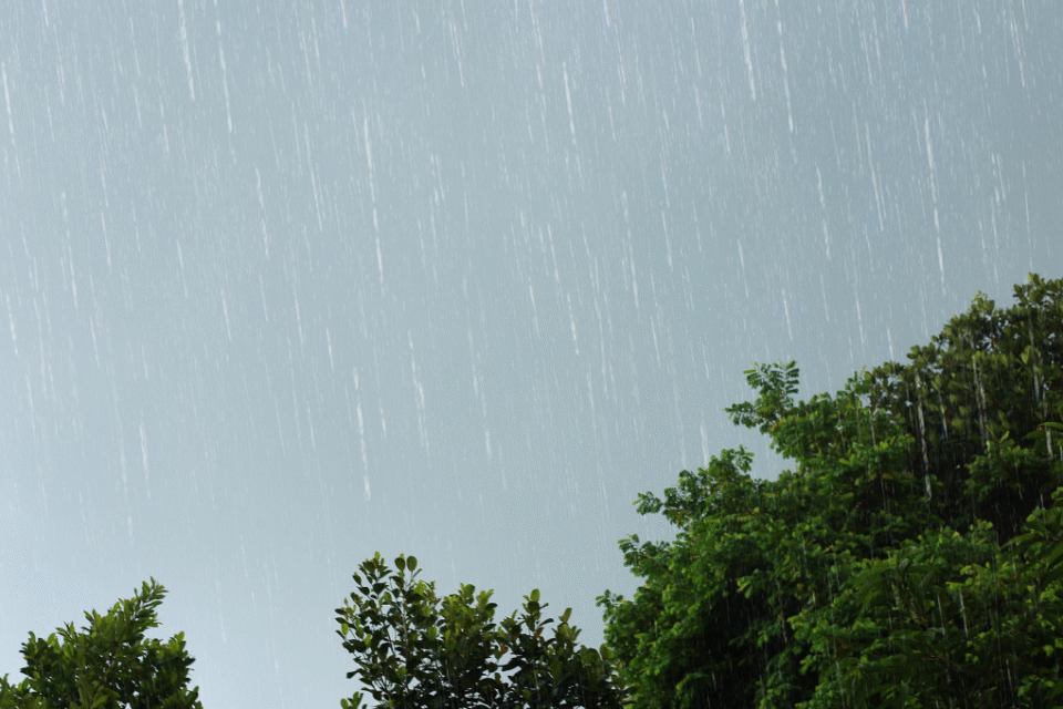 Imagem da chuva