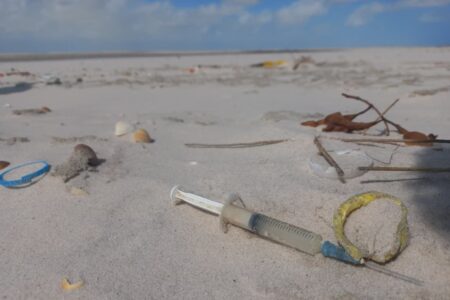 70% das praias brasileiras estão contaminadas por microplásticos, revela pesquisa liderada por Goiás Levantamento mais amplo já realizado