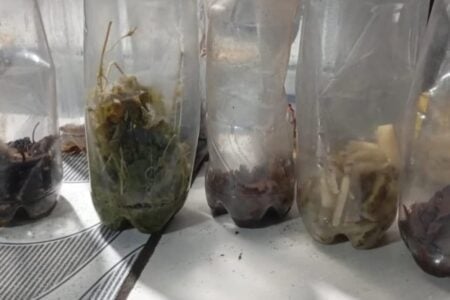 Donos de distribuidoras são presos com armas e bebidas vencidos em operação em Campos Belos