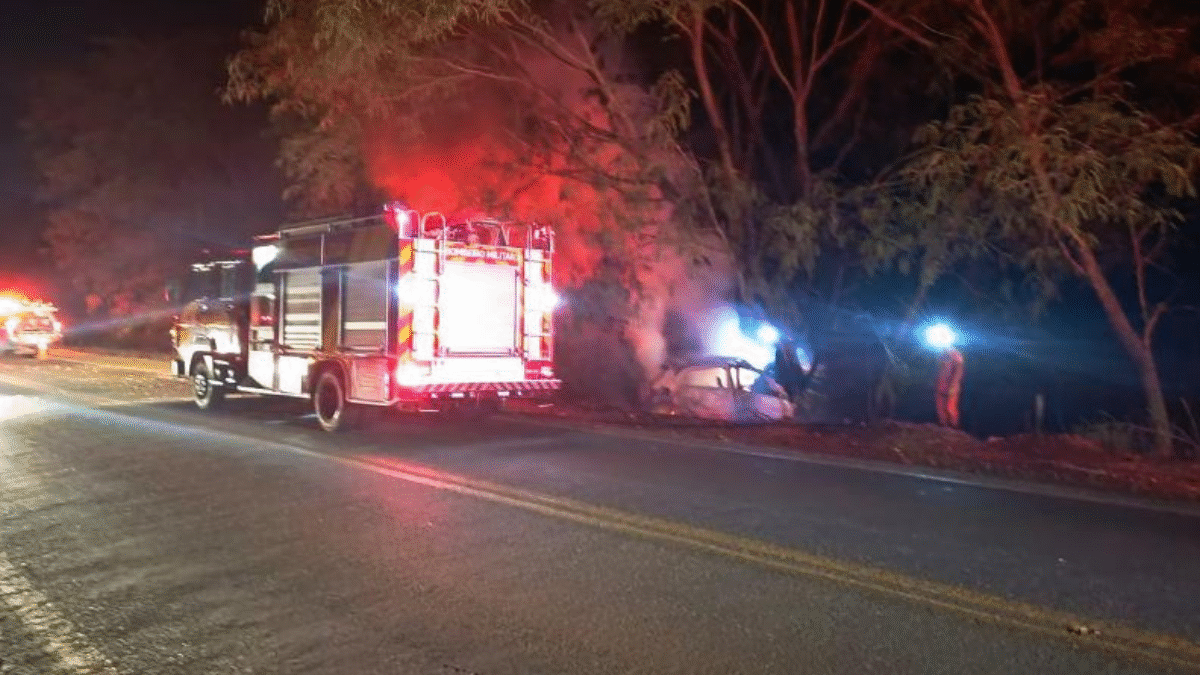 Motorista morre carbonizado após veículo bater em árvore na GO-154 (Foto: CBMGO)