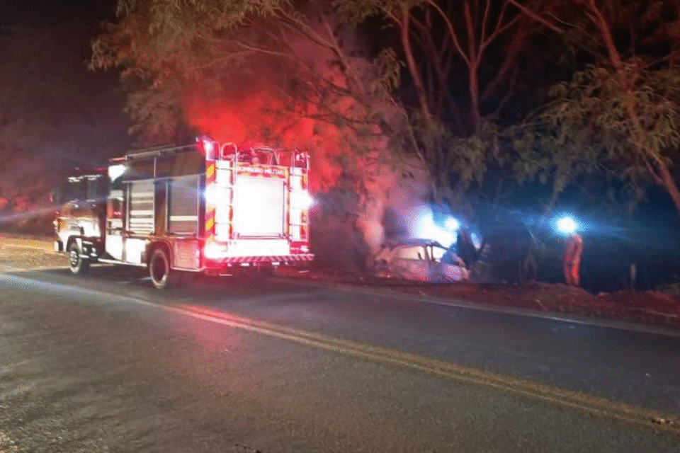 Motorista morre carbonizado após veículo bater em árvore na GO-154