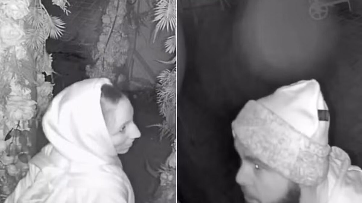 Casal de ladrões é flagrado fazendo sexo durante roubo a restaurante; vídeo Decoração romântica pode ter ajudado para o clima durante o roubo