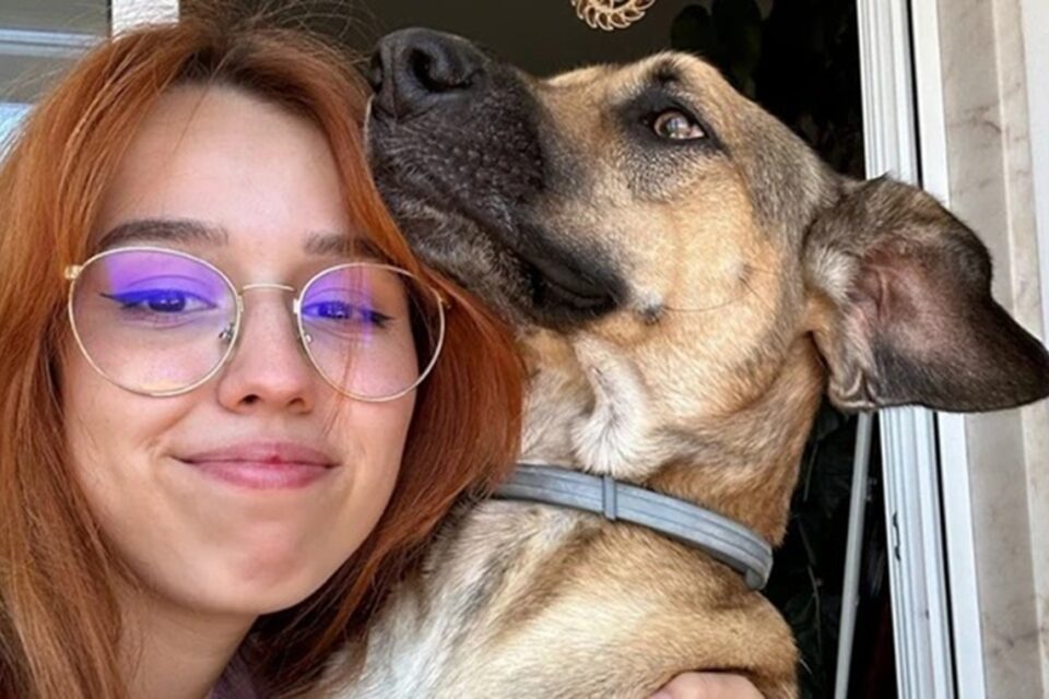 Cão de grávida 'aparece' em ultrassom do bebê da tutora e viraliza; veja imagem episódio mostra o quanto o cãozinho é parte da família