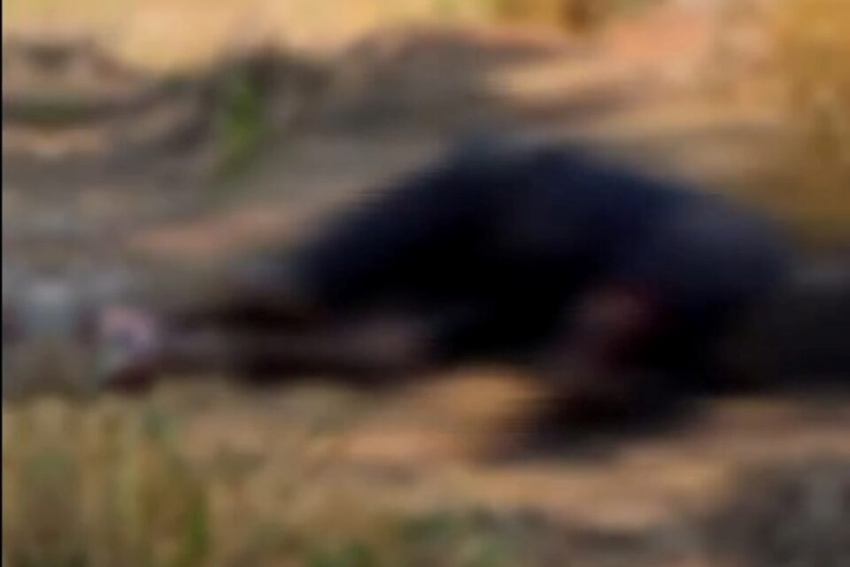 Imagem do corpo no local