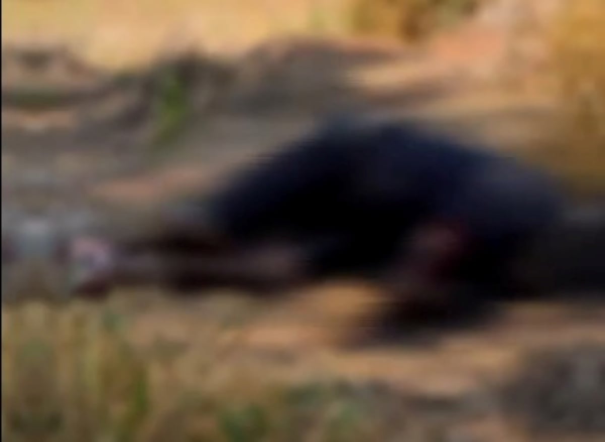 Imagem do corpo no local