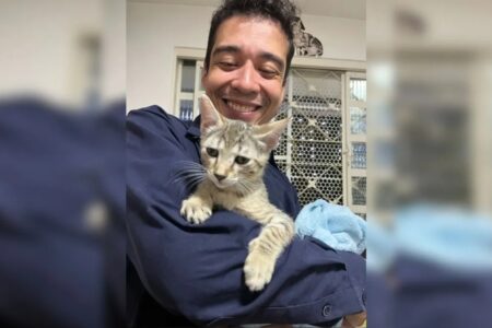 Imagem do psicólogo