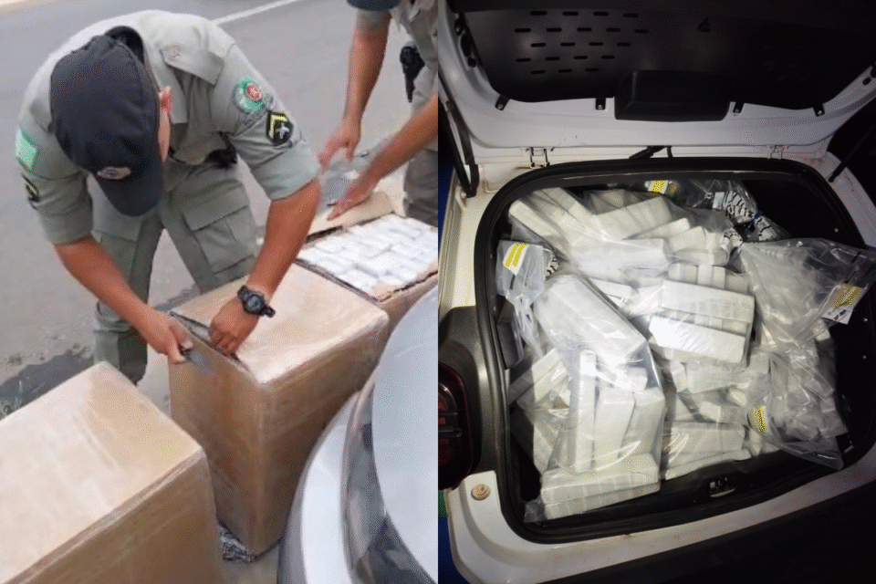 Entorpecentes apreendidos