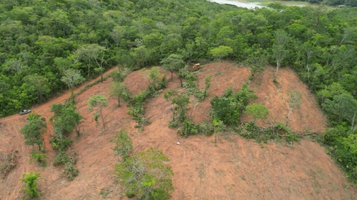 Área desmatada em Goiás é a menor da história, diz Inpe (Foto: Divulgação)