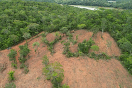 Área desmatada em Goiás é a menor da história, diz Inpe (Foto: Divulgação)