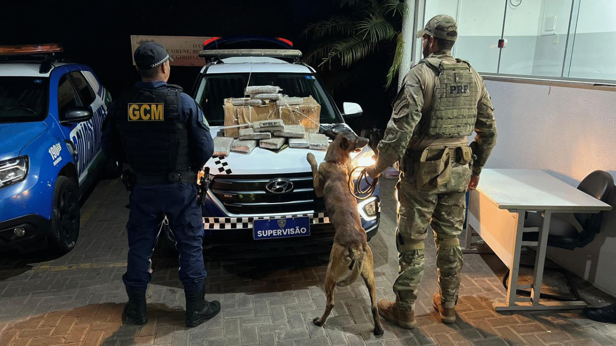Dois homens são presos suspeitos de transportar cerca de 30 kg de "supermaconha" em Goiânia (Foto: PRF)
