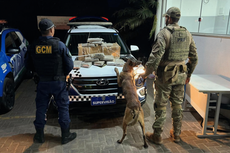 Dois homens são presos suspeitos de transportar cerca de 30 kg de “supermaconha” em Goiânia