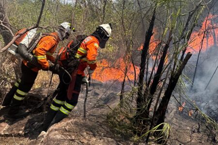 Incêndio florestal já consumiu quase 2 mil hectares em Cavalcante