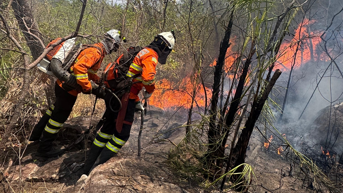 Incêndio florestal já consumiu quase 2 mil hectares em Cavalcante