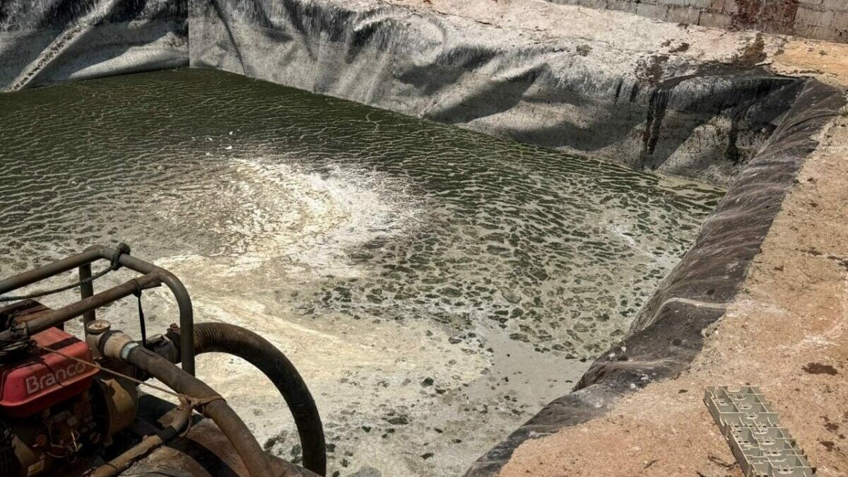 Polícia Civil fecha quatro abatedouros e pesqueiros clandestinos na zona rural de Inaciolândia