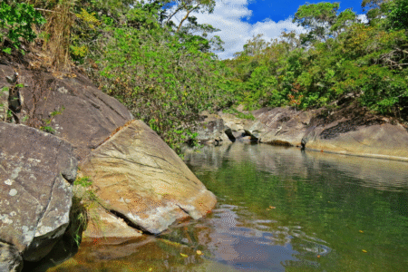 Projeto em Goiás oferece banhos de floresta a pacientes com sintomas de transtornos mentais (Foto. Pixabay)