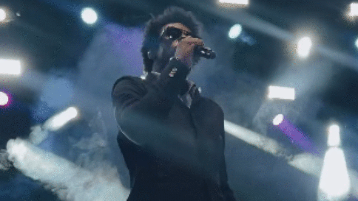 Seu Jorge se apresenta em Goiânia e elogia 'ambiente família' na plateia (Foto: Reprodução)