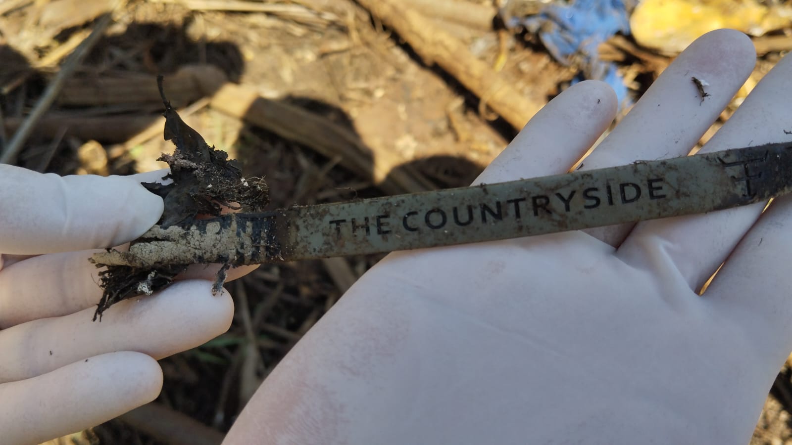 Imagem dos objetos encontrados