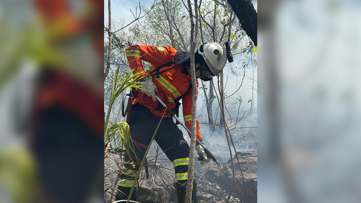 Incêndio em Cavalcante chega ao quinto dia
