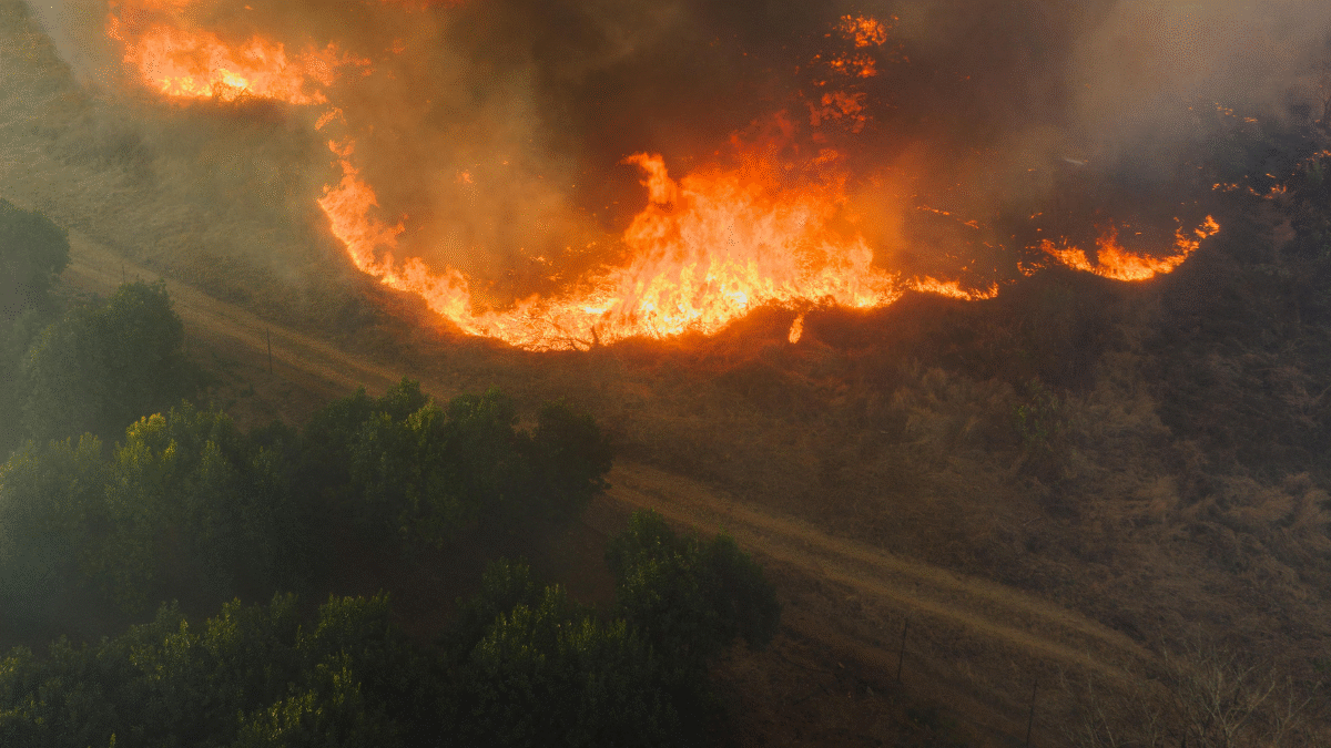 Imagem representativa de uma floresta pegando fogo