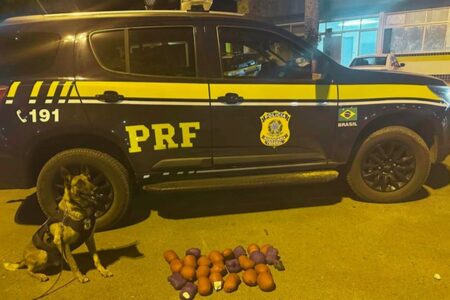 Cão da PRF encontra haxixe escondido em tanque de combustível de carro em Luziânia
