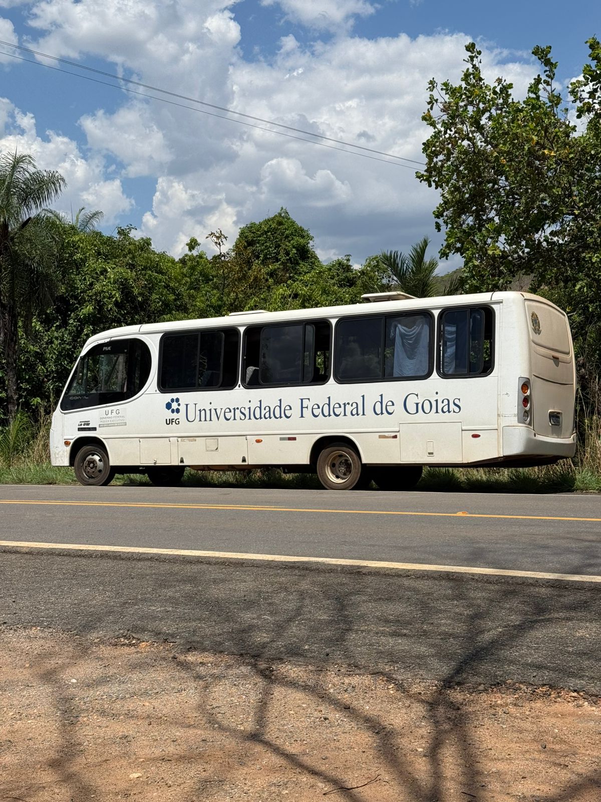 Imagem do ônibus parado