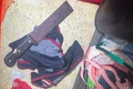 Homem que matou esposa a golpes de facão é preso após denúncia da mãe