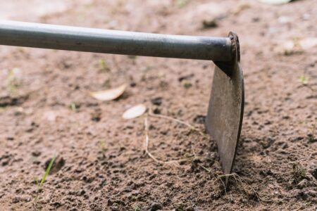 Homem acusado de matar a mulher em Bela Vista agrediu a ex com cabo de enxada