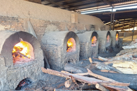 Estado autua 40 cerâmicas por falta de licença ou uso de madeira ilegal em Goiás (Foto: Divulgação)