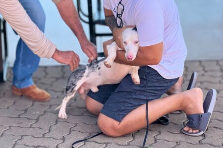 Goiânia realiza o Dia D de Vacinação Antirrábica