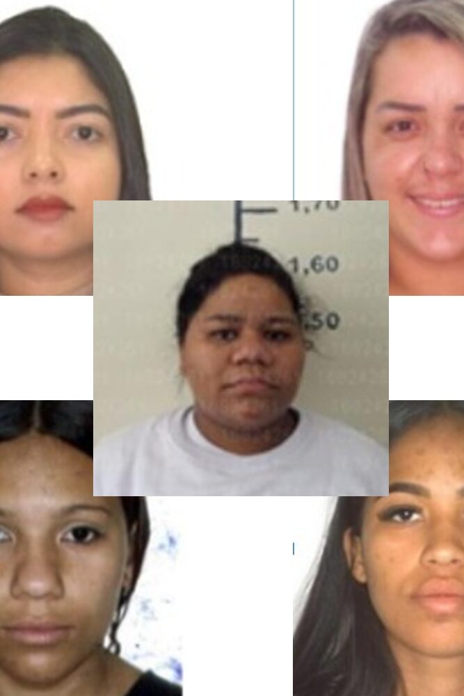 Cinco mulheres foram indiciadas por integrar organização criminosa (Fotos: PCGO)