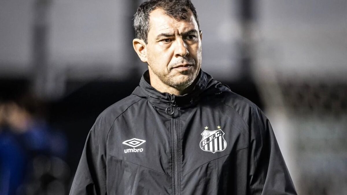 Carille assume o Goiás restando apenas seis jogos