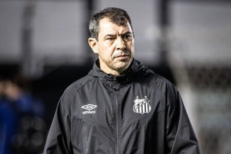 Carille assume o Goiás restando apenas seis jogos