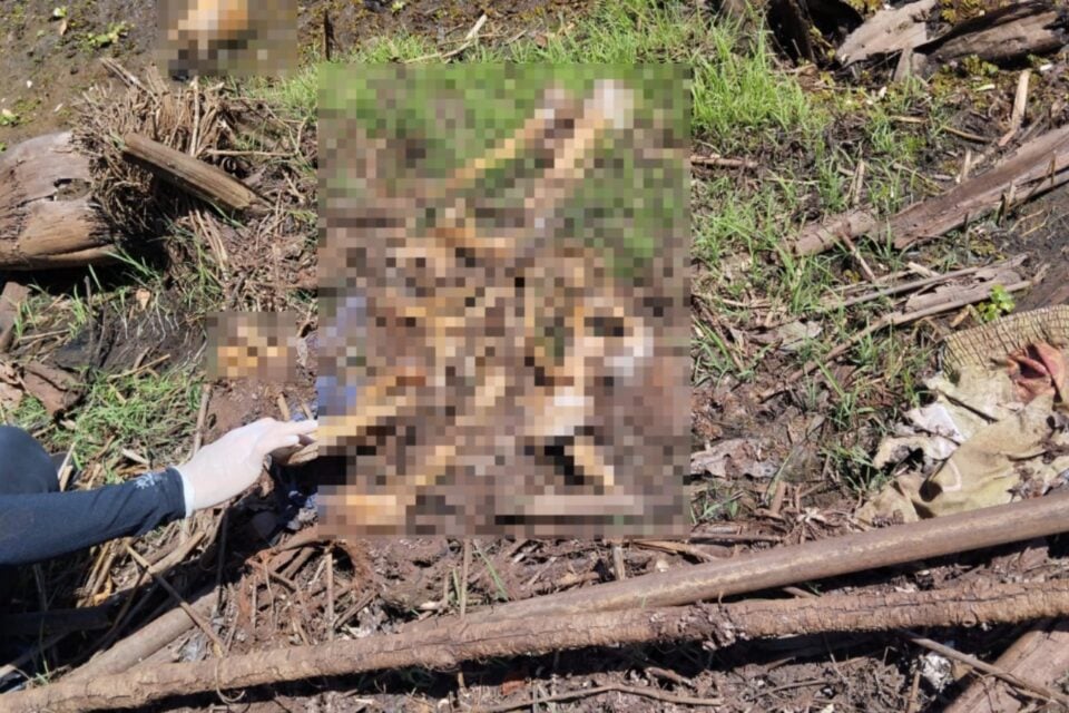 Imagem do local onde a ossada foi encontrada