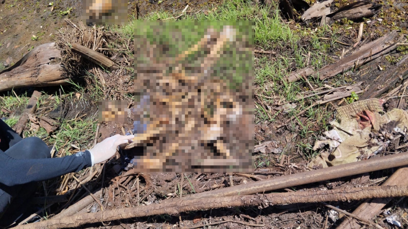 Imagem do local onde a ossada foi encontrada