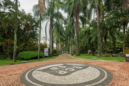 Clubes de São Paulo suspendem venda de destilados após mortes por bebidas adulteradas com metanol