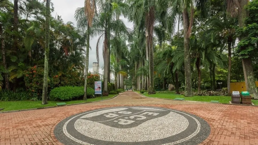 Clubes de São Paulo suspendem venda de destilados após mortes por bebidas adulteradas com metanol