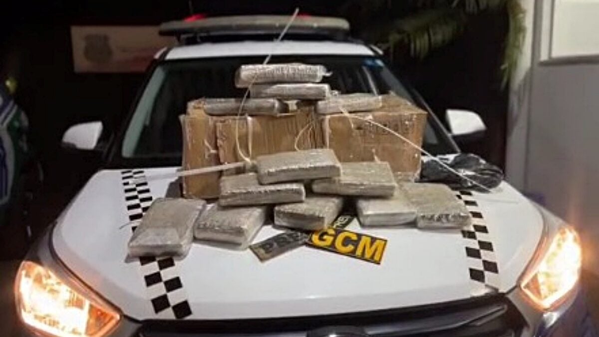 Imagem da apreensão