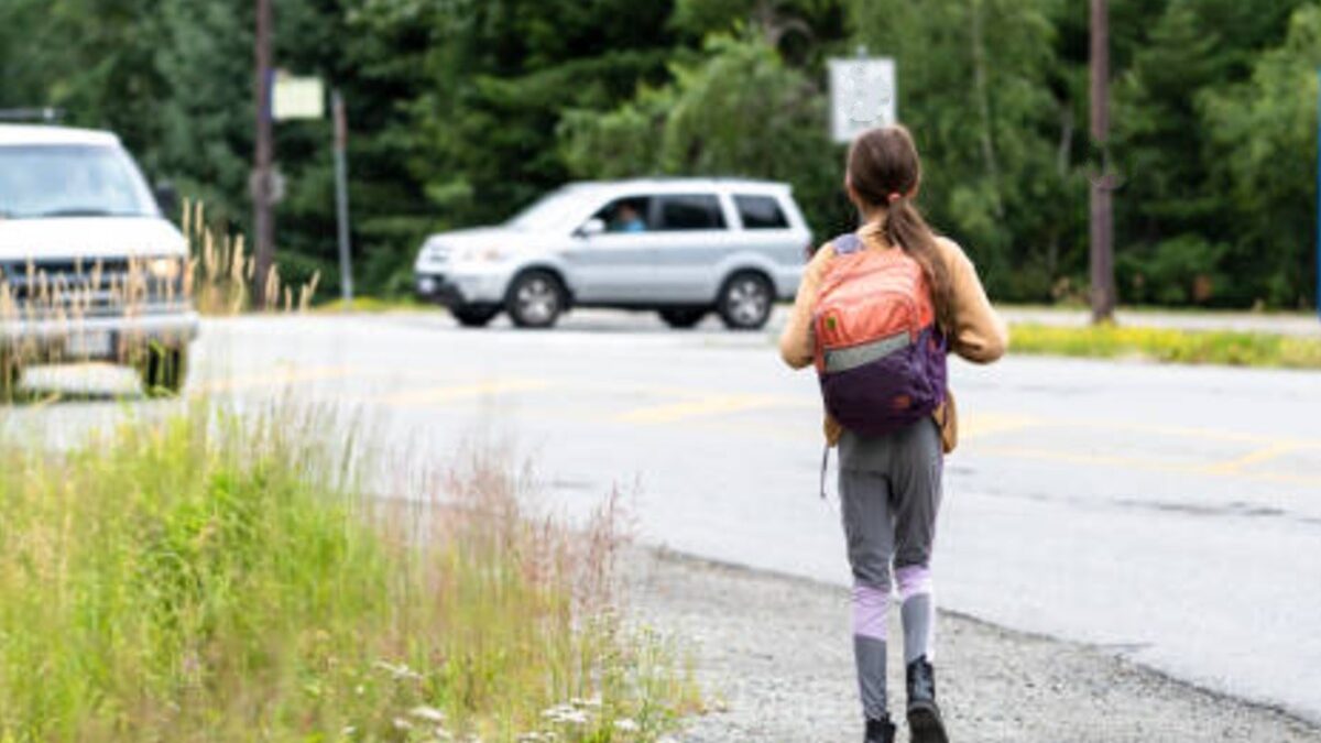 Bombeiros resgatam menina de 9 anos encontrada sozinha às margens da GO-222, em Anápolis