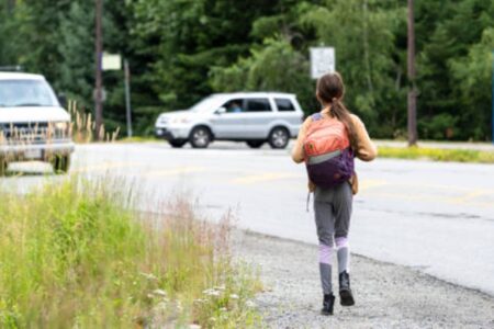 Bombeiros resgatam menina de 9 anos encontrada sozinha às margens da GO-222, em Anápolis