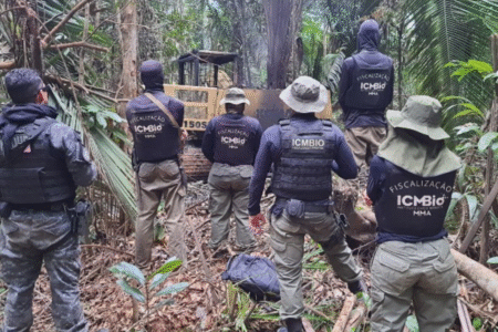 Imagem de funcionários com o uniforme de fiscalização da ICMBio