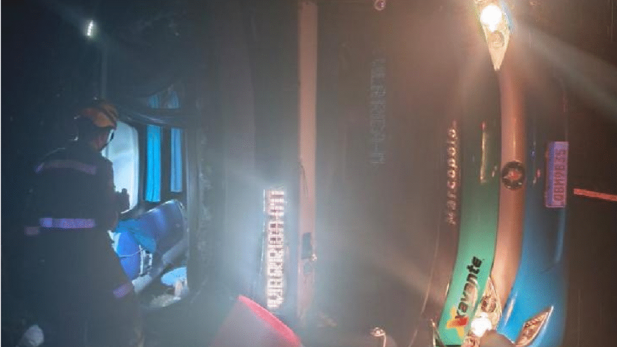 Imagem mostra ônibus que capotou após desviar de árvore na pista